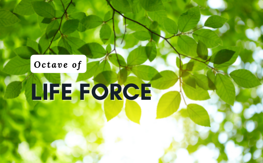 Octave Resonance Healing 4