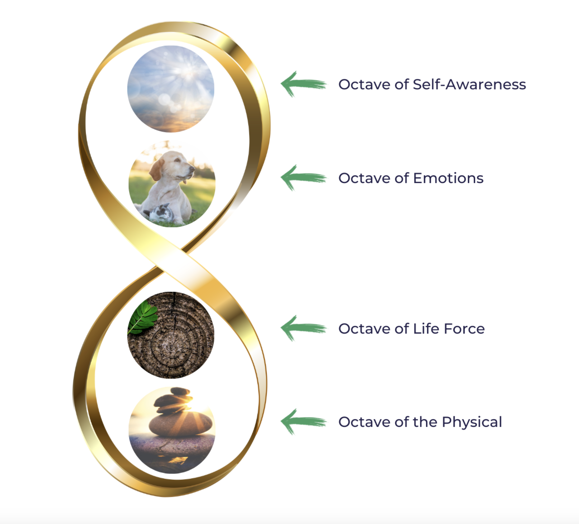 Suzanne Clegg’s Octave Resonance Healing Approach™
